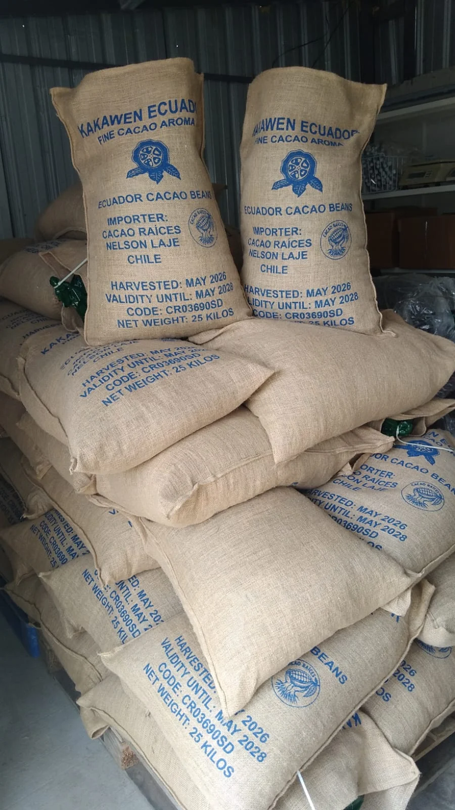 Vínculo y propósito Cacao Raíces
